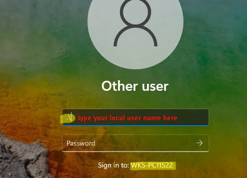 windows local login