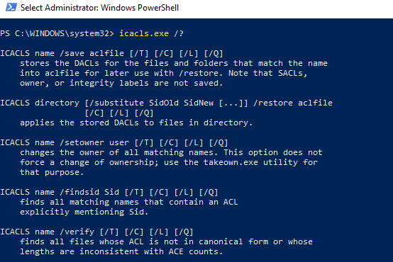 icacls show permissions