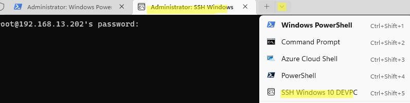 windows ssh access
