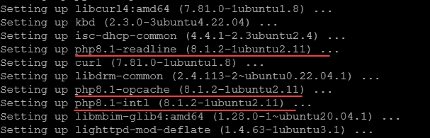 pihole update