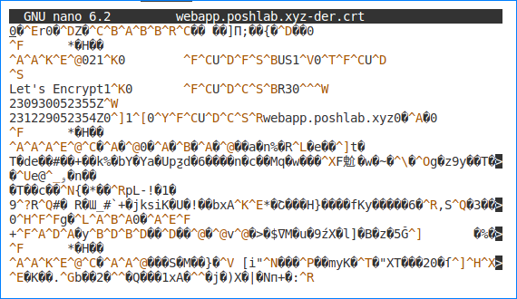 convert crt to pem