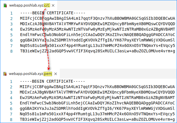 convert crt to pem windows