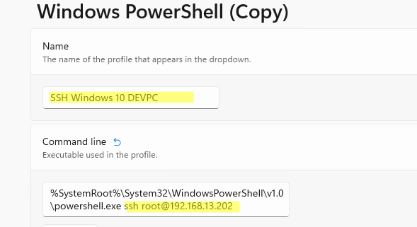 enable ssh windows