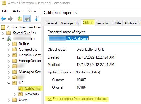 this object is protected from accidental deletion active directory